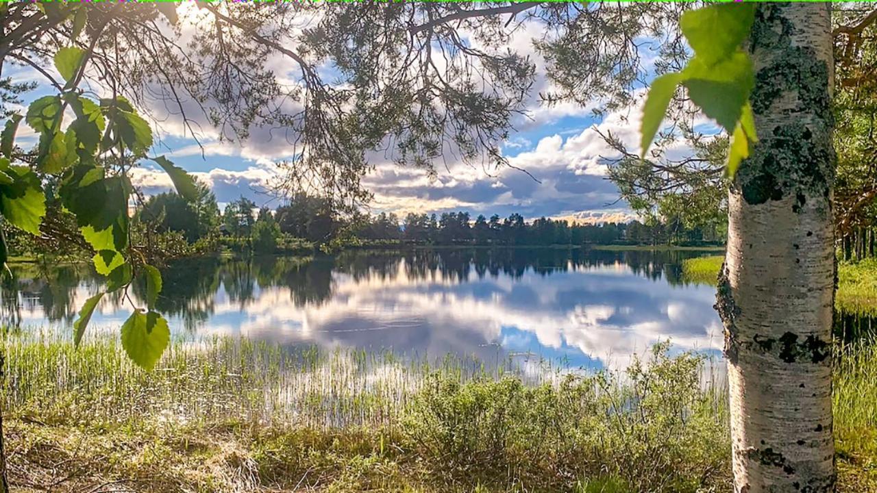 Trollforsen Camping & Cottages Gargnas ภายนอก รูปภาพ